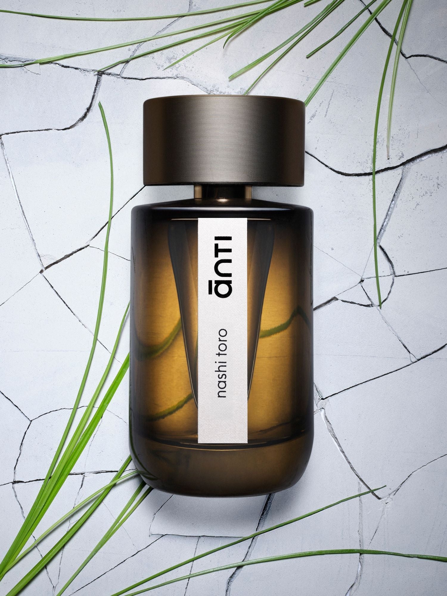 ānti parfum usa | Luxury Niche Fragrances Redefining Scent – Anti